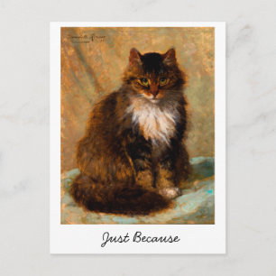 Vintage Maine Coon Katzenkunst Nur weil            Postkarte