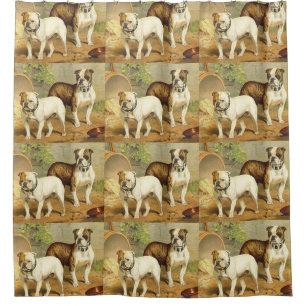 Vintage Malerei der englischen Bulldoggen Duschvorhang