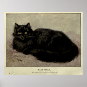 Vintage Malerei einer Schwarzen Katze (1903) Poster