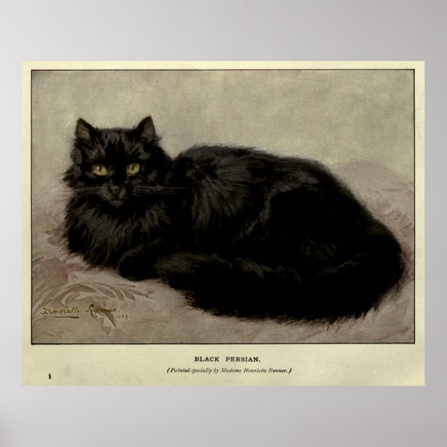 Vintage Malerei einer Schwarzen Katze (1903) Poster (Vorne)