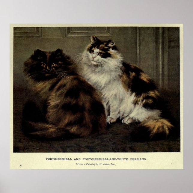 Vintage Malerei von Fluffy Cats (1902) Poster (Vorne)