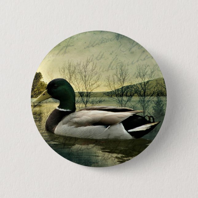 Vintage Mallard Duck Weathered Postcard Button (Vorderseite)