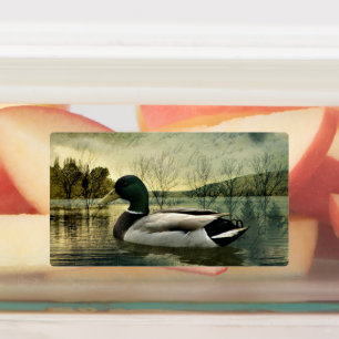 Vintage Mallard Duck Weathered Postcard Etiketten
