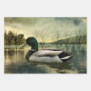 Vintage Mallard Duck Weathered Postcard Geschenkpapier Set