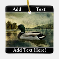 Vintage Mallard Duck Weathered Postcard