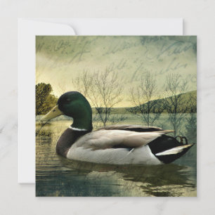 Vintage Mallard Duck Weathered Postcard Mitteilungskarte