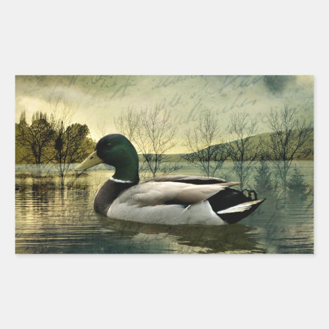 Vintage Mallard Duck Weathered Postcard Rechteckiger Aufkleber (Vorderseite)