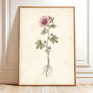 Vintage-Mallow-Botanische-Galerie-Wandkunst-Druck Poster