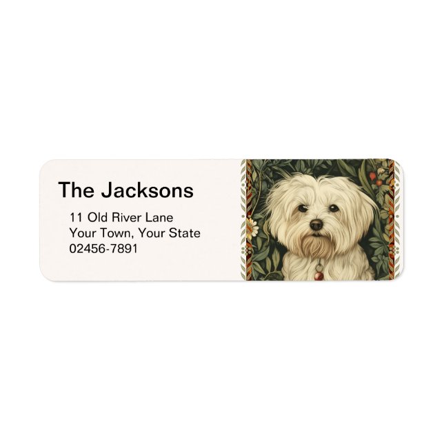 Vintage-Maltese- oder Bichon-Welpe (Vorne)