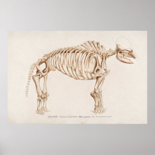 Vintage Mamoth-Illustration Poster