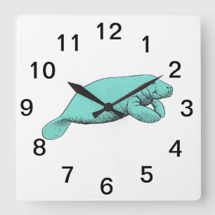 Vintage-Manatee-Zeichnung Aqua Quadratische Wanduhr