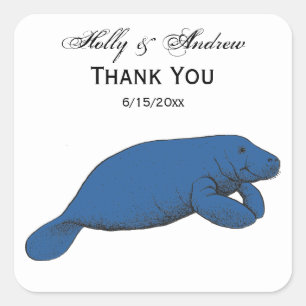 Vintage-Manatee-Zeichnung Blau Quadratischer Aufkleber