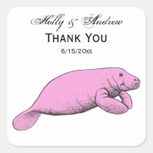 Vintage-Manatee-Zeichnung Rosa Quadratischer Aufkleber