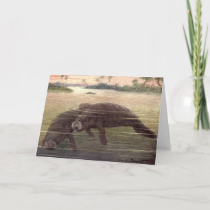 Vintage Manatis oder Seekühe, Meeressäuger Karte