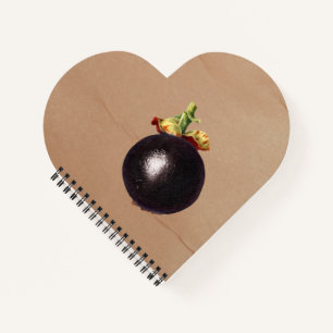 Vintage Mangosteen-Illustration Notizbuch