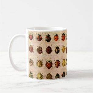 Vintage Marienkäfer-Exemplar-Muster Antikes Insekt Kaffeetasse