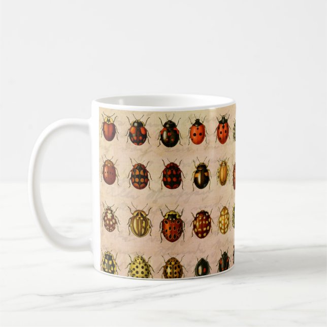 Vintage Marienkäfer-Exemplar-Muster Antikes Insekt Kaffeetasse (Links)
