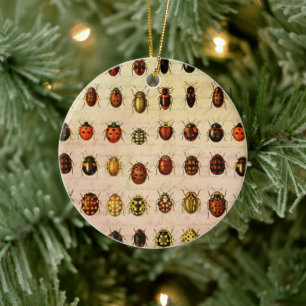 Vintage Marienkäfer-Exemplar-Muster Antikes Insekt Keramik Ornament