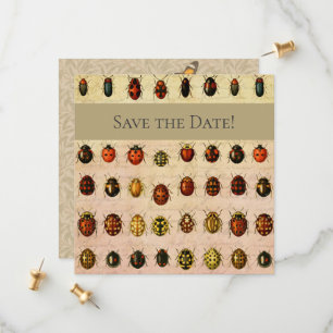 Vintage Marienkäfer-Exemplar-Muster Antikes Insekt Save The Date