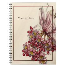 Vintage Medinilla Magnifica Notebook