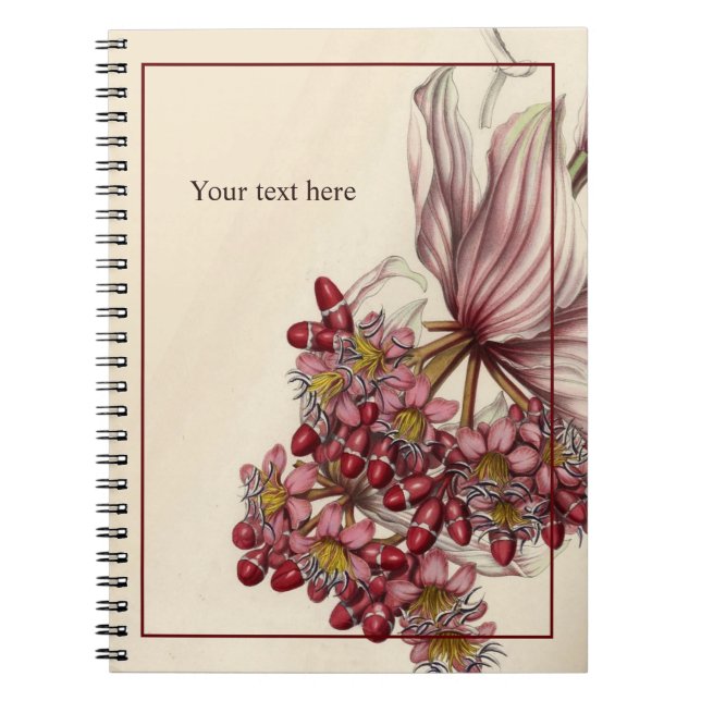 Vintage Medinilla Magnifica Notebook Notizblock (Vorderseite)