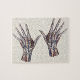 Vintage Medizin, menschliche Anatomie Hand Fingers Puzzle