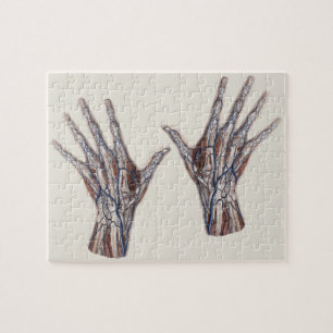 Vintage Medizin, menschliche Anatomie Hand Fingers Puzzle