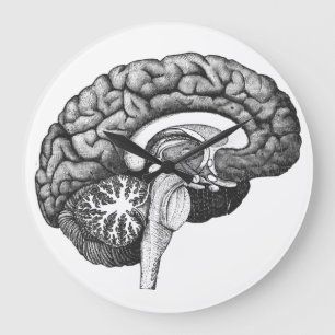 Vintage medizinische Anatomie-Illustration menschl Große Wanduhr