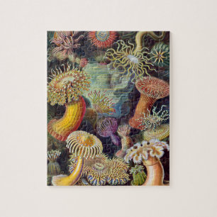 Vintage Meeresanemonen, Actiniae von Ernst Haeckel Puzzle