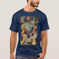 Vintage Meeresanemonen, Actiniae von Ernst Haeckel