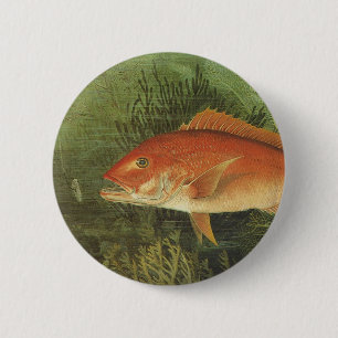 Vintage Meeresleben, Roter Schnapper Fisch im Ozea Button