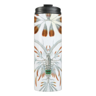 Vintage-Meereslebewesen, Copepoda von Ernst Haecke Thermosbecher