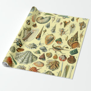 Vintage-Meeresmuschel-Druck Adolphe Millot Küste  Geschenkpapier