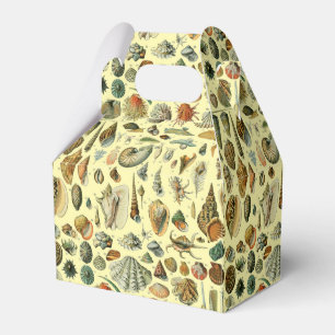 Vintage-Meeresmuschel-Druck Adolphe Millot Küste Geschenkschachtel