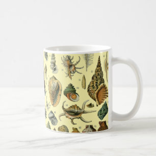 Vintage-Meeresmuschel-Druck Adolphe Millot Küste Kaffeetasse