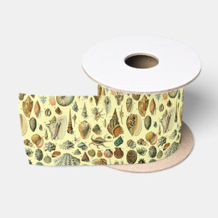 Vintage-Meeresmuschel-Druck Adolphe Millot Küste  Satinband
