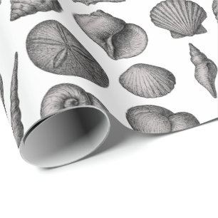 Vintage-Meeresmuschel-Ozean-Natur-Skizzenmuster Geschenkpapier