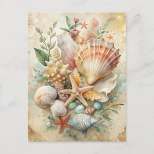 Vintage Meeresmuscheln Seestern Ozean Strand Küste Postkarte