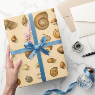 Vintage-Meeresmuscheln-Sortiment Geschenkpapier