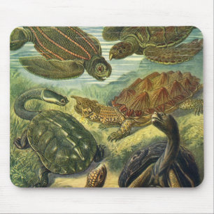 Vintage Meeresschildkröten und Landschildkröten vo Mousepad