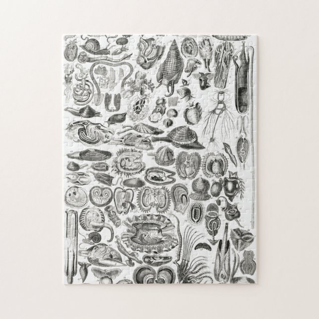 Vintage Meeresschnecke Puzzle (Vertikal)
