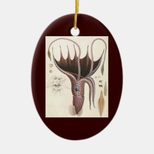 Vintage Meerestiere, Tintenfisch mit Regenschirm Keramikornament