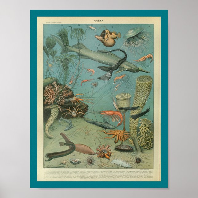 Vintage Meereswelt Seascape Print Poster (Vorne)