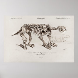 Vintage Megatherium-Illustration Poster
