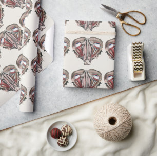 Vintage menschliche Anatomie, Augen Geschenkpapier