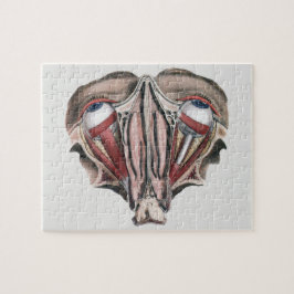 Vintage menschliche Anatomie, Augen Puzzle
