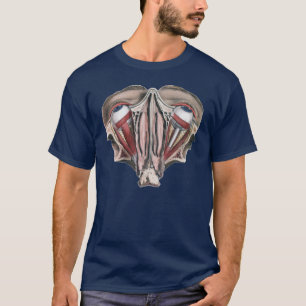 Vintage menschliche Anatomie, Augen T-Shirt