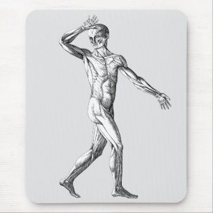 Vintage-Menschliche Anatomie, männliche Körpermusk Mousepad