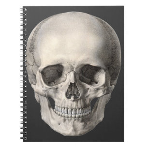 Vintage Menschliche Anatomie Schädel, Halloween Sk Notizblock