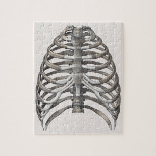 Vintage menschliche Anatomie Skelett Skelettknoche Puzzle